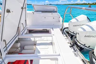 Bimini Bliss Cruise 17
