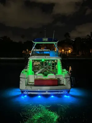 Twilight Bliss Cruise 15