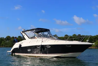 Bonz Bash Cruise 1